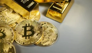 Bitcoin vs Gold